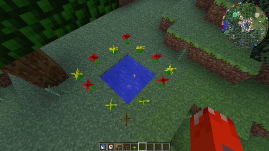 twilight forest portal pool with plants on every edge block before the diamond is thrown